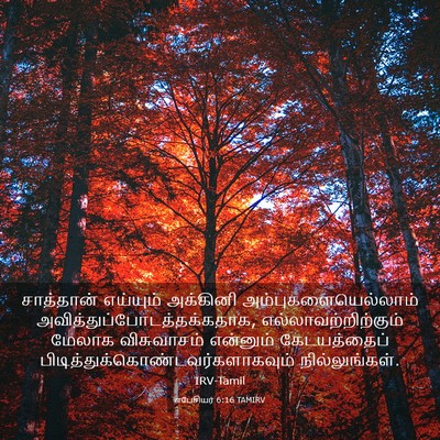 Picture 03 - எபேசியர் 6:16 TAMIRV - சாத்தான் எய்யும் - Bible Verse Picture