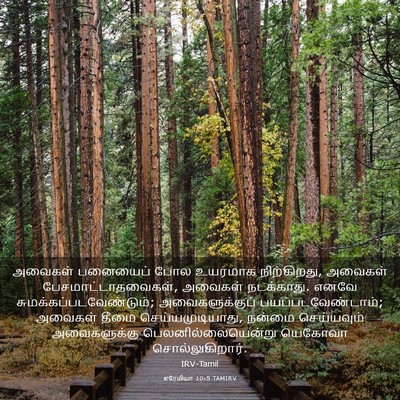 Picture 03 - எரேமியா 10:5 TAMIRV - அவைகள் பனையைப் - Bible Verse Picture