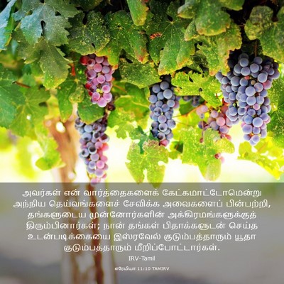 Picture 03 - எரேமியா 11:10 TAMIRV - அவர்கள் என் - Bible Verse Picture