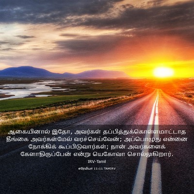 Picture 03 - எரேமியா 11:11 TAMIRV - ஆகையினால் இதோ, - Bible Verse Picture