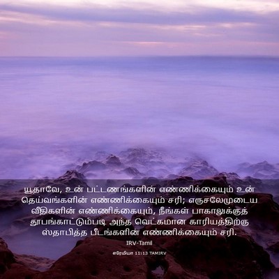 Picture 03 - எரேமியா 11:13 TAMIRV - யூதாவே, உன் - Bible Verse Picture