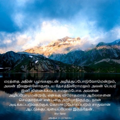 Picture 03 - எரேமியா 11:19 TAMIRV - மரத்தை அதின் - Bible Verse Picture