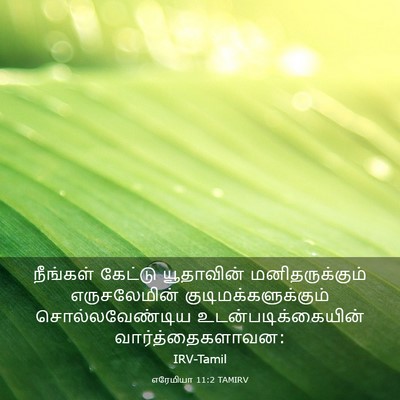 Picture 03 - எரேமியா 11:2 TAMIRV - நீங்கள் கேட்டு - Bible Verse Picture