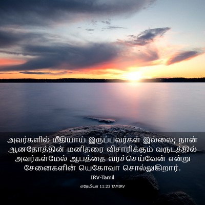 Picture 03 - எரேமியா 11:23 TAMIRV - அவர்களில் - Bible Verse Picture