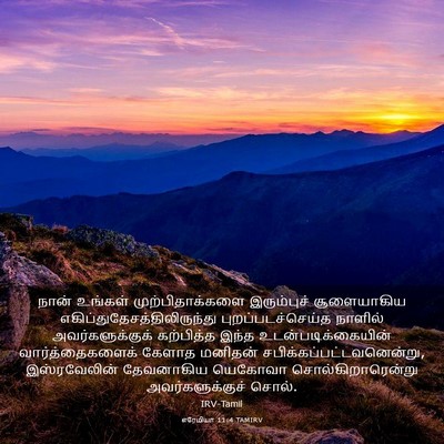 Picture 03 - எரேமியா 11:4 TAMIRV - நான் உங்கள் - Bible Verse Picture