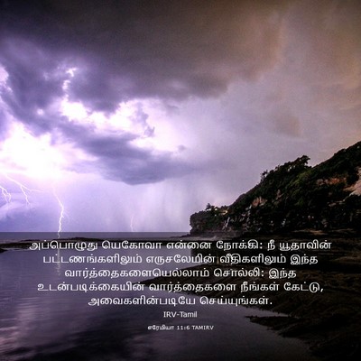 Picture 03 - எரேமியா 11:6 TAMIRV - அப்பொழுது யெகோவா - Bible Verse Picture