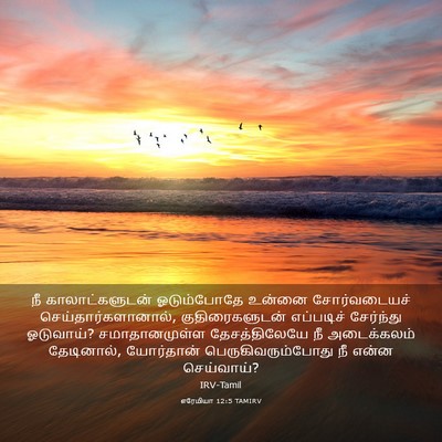 Picture 03 - எரேமியா 12:5 TAMIRV - நீ காலாட்களுடன் - Bible Verse Picture