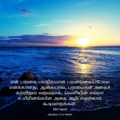 Picture 03 - எரேமியா 12:9 TAMIRV - என் பங்கை - Bible Verse Picture