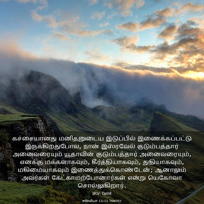 Picture 03 - எரேமியா 13:11 TAMIRV - கச்சையானது - Bible Verse Picture