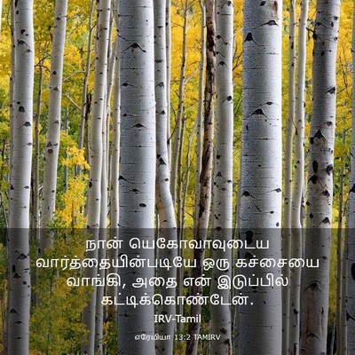 Picture 03 - எரேமியா 13:2 TAMIRV - நான் யெகோவாவுடைய - Bible Verse Picture