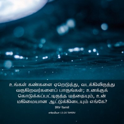 Picture 03 - எரேமியா 13:20 TAMIRV - உங்கள் கண்களை - Bible Verse Picture
