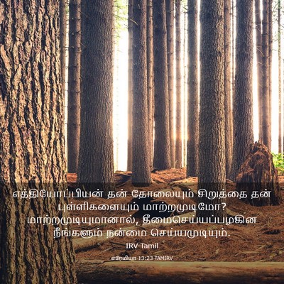 Picture 03 - எரேமியா 13:23 TAMIRV - எத்தியோப்பியன் - Bible Verse Picture