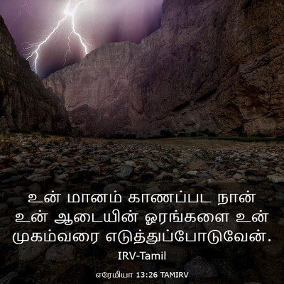 Picture 03 - எரேமியா 13:26 TAMIRV - உன் மானம் காணப்பட - Bible Verse Picture