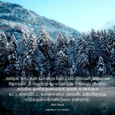 Picture 03 - எரேமியா 13:6 TAMIRV - அநேக நாட்கள் - Bible Verse Picture