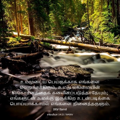 Picture 03 - எரேமியா 14:21 TAMIRV - உம்முடைய - Bible Verse Picture