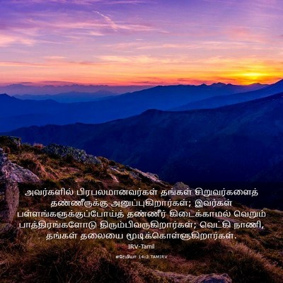 Picture 03 - எரேமியா 14:3 TAMIRV - அவர்களில் - Bible Verse Picture