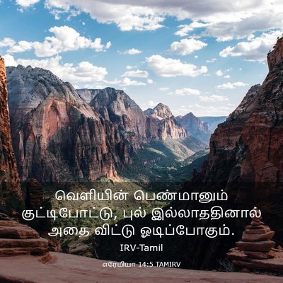 Picture 03 - எரேமியா 14:5 TAMIRV - வெளியின் - Bible Verse Picture