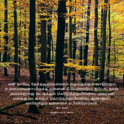 Picture 03 - எரேமியா 15:10 TAMIRV - என் தாயே, - Bible Verse Picture