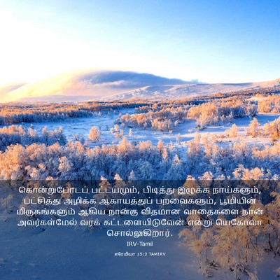 Picture 03 - எரேமியா 15:3 TAMIRV - கொன்றுபோடப் - Bible Verse Picture