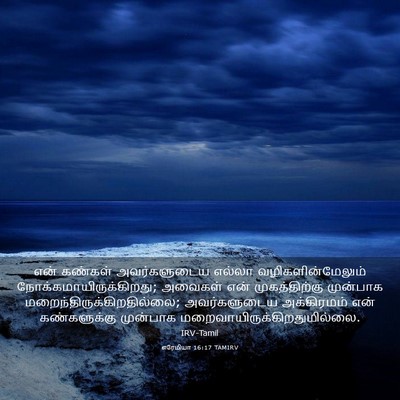Picture 03 - எரேமியா 16:17 TAMIRV - என் கண்கள் - Bible Verse Picture