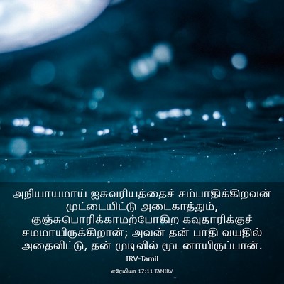 Picture 03 - எரேமியா 17:11 TAMIRV - அநியாயமாய் - Bible Verse Picture