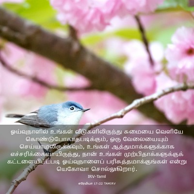 Picture 03 - எரேமியா 17:22 TAMIRV - ஓய்வுநாளில் - Bible Verse Picture