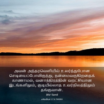 Picture 03 - எரேமியா 17:6 TAMIRV - அவன் - Bible Verse Picture