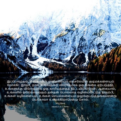Picture 03 - எரேமியா 18:11 TAMIRV - இப்பொழுதும், நீ - Bible Verse Picture