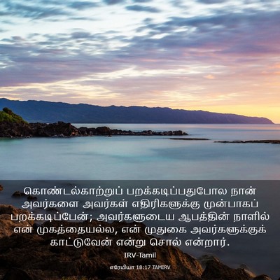 Picture 03 - எரேமியா 18:17 TAMIRV - கொண்டல்காற்றுப் - Bible Verse Picture