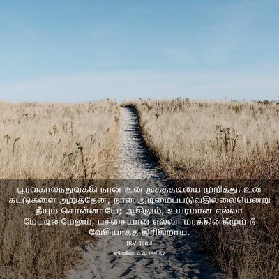 Picture 03 - எரேமியா 2:20 TAMIRV -  - Bible Verse Picture