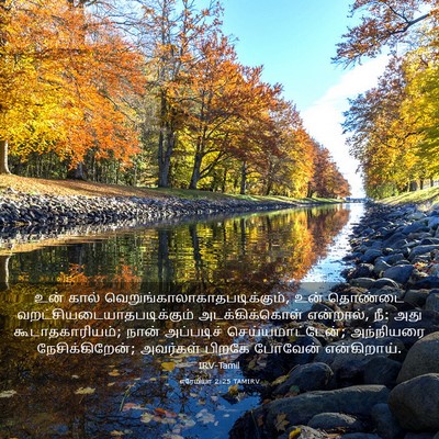 Picture 03 - எரேமியா 2:25 TAMIRV - உன் கால் - Bible Verse Picture