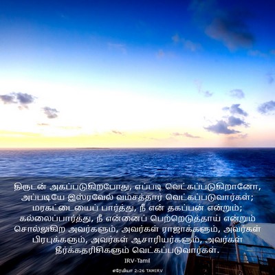 Picture 03 - எரேமியா 2:26 TAMIRV - திருடன் - Bible Verse Picture