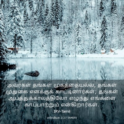 Picture 03 - எரேமியா 2:27 TAMIRV - அவர்கள் தங்கள் - Bible Verse Picture
