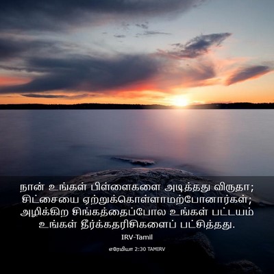 Picture 03 - எரேமியா 2:30 TAMIRV - நான் உங்கள் - Bible Verse Picture