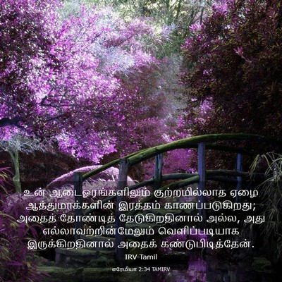 Picture 03 - எரேமியா 2:34 TAMIRV - உன் - Bible Verse Picture