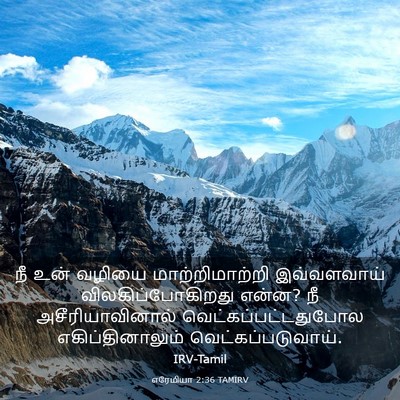 Picture 03 - எரேமியா 2:36 TAMIRV - நீ உன் வழியை - Bible Verse Picture