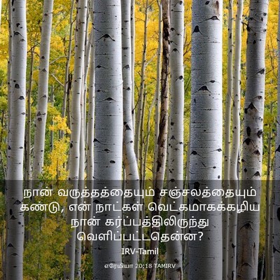 Picture 03 - எரேமியா 20:18 TAMIRV - நான் - Bible Verse Picture