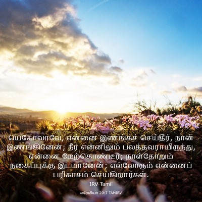 Picture 03 - எரேமியா 20:7 TAMIRV - யெகோவாவே, என்னை - Bible Verse Picture