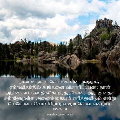 Picture 03 - எரேமியா 21:14 TAMIRV - நான் உங்கள் - Bible Verse Picture