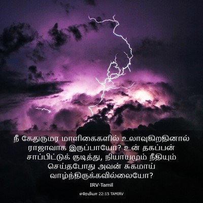 Picture 03 - எரேமியா 22:15 TAMIRV - நீ கேதுருமர - Bible Verse Picture