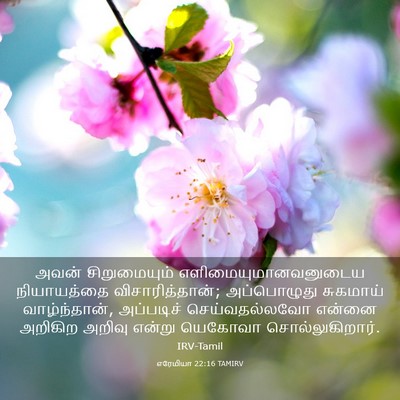 Picture 03 - எரேமியா 22:16 TAMIRV - அவன் சிறுமையும் - Bible Verse Picture
