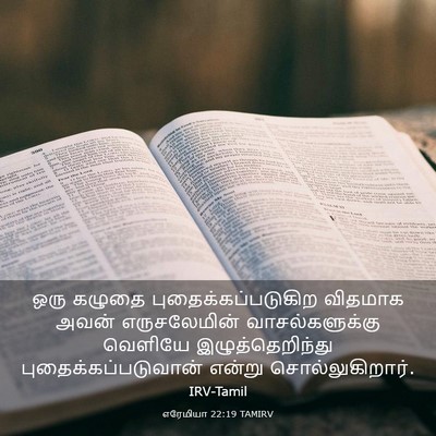 Picture 03 - எரேமியா 22:19 TAMIRV - ஒரு கழுதை - Bible Verse Picture
