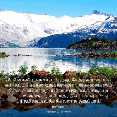 Picture 03 - எரேமியா 22:23 TAMIRV - லீபனோனில் - Bible Verse Picture