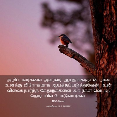 Picture 03 - எரேமியா 22:7 TAMIRV - அழிப்பவர்களை - Bible Verse Picture