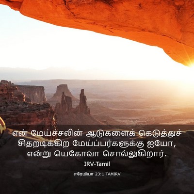 Picture 03 - எரேமியா 23:1 TAMIRV - என் மேய்ச்சலின் - Bible Verse Picture