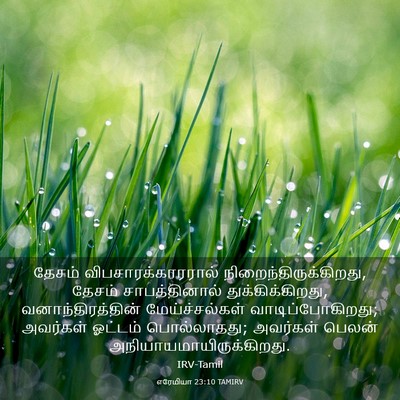 Picture 03 - எரேமியா 23:10 TAMIRV - தேசம் - Bible Verse Picture