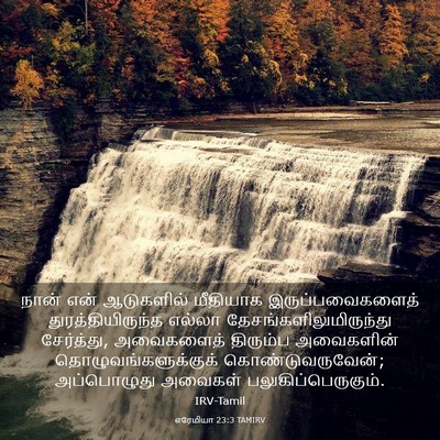 Picture 03 - எரேமியா 23:3 TAMIRV - நான் என் ஆடுகளில் - Bible Verse Picture