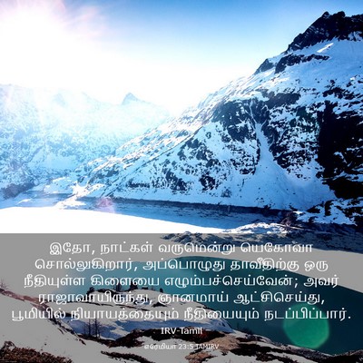 Picture 03 - எரேமியா 23:5 TAMIRV - இதோ, நாட்கள் - Bible Verse Picture