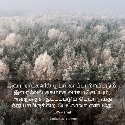 Picture 03 - எரேமியா 23:6 TAMIRV - அவர் நாட்களில் - Bible Verse Picture