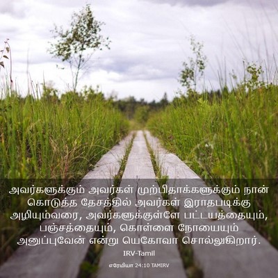 Picture 03 - எரேமியா 24:10 TAMIRV - அவர்களுக்கும் - Bible Verse Picture